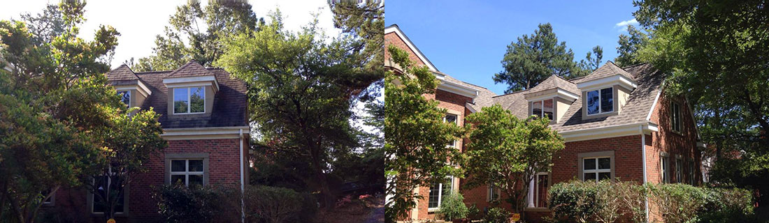 Roof Before and After