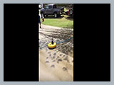 Driveway Cleaning